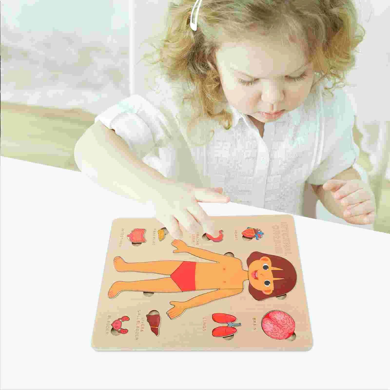 Montessori Wooden Human Body Organs Puzzle – Educational Toy for Kids - Brandfluence Tech